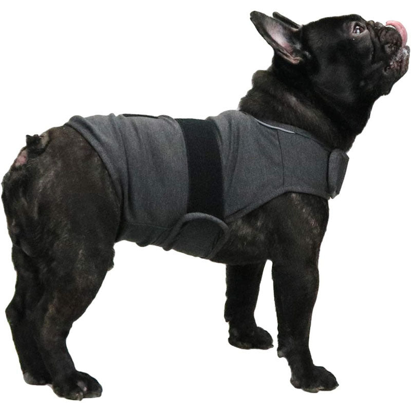 BULLY CALMING VEST